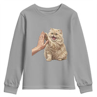 Cute Persian Cat High Five Youth Sweatshirt Cat Lover