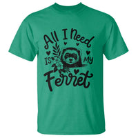 All I Need Is My Ferret T Shirt Cute Exotic Pet Owner Gift