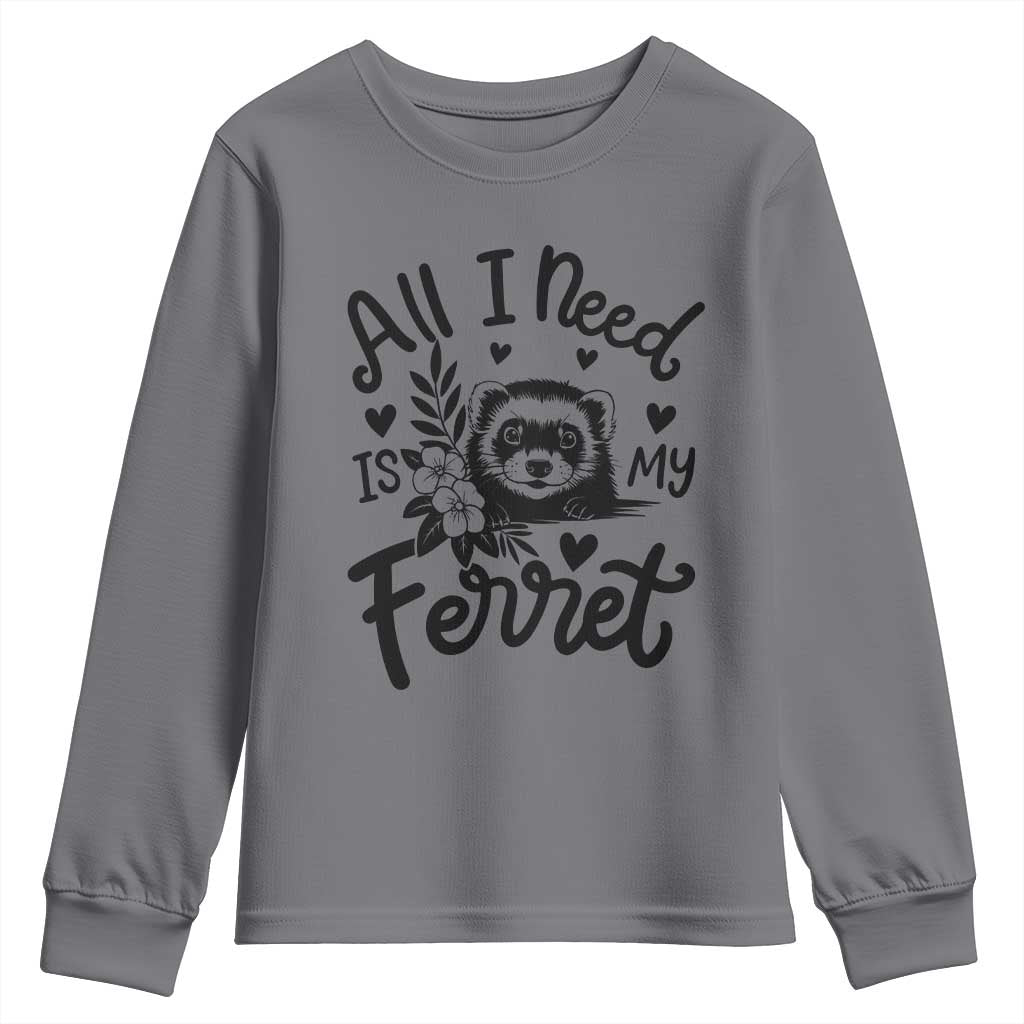 All I Need Is My Ferret Youth Sweatshirt Cute Exotic Pet Owner Gift