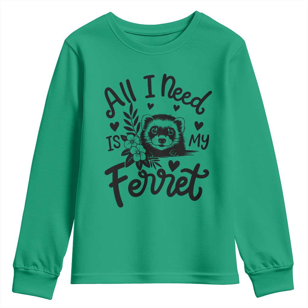 All I Need Is My Ferret Youth Sweatshirt Cute Exotic Pet Owner Gift