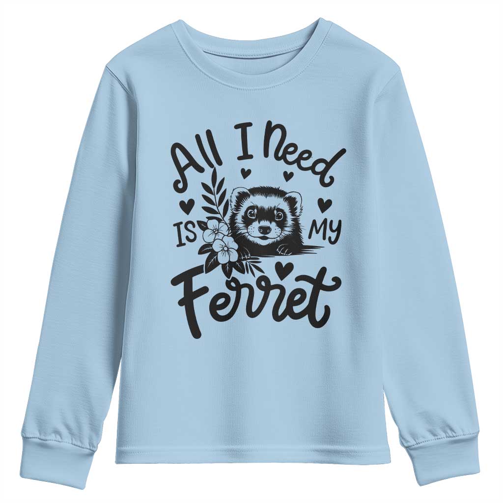 All I Need Is My Ferret Youth Sweatshirt Cute Exotic Pet Owner Gift