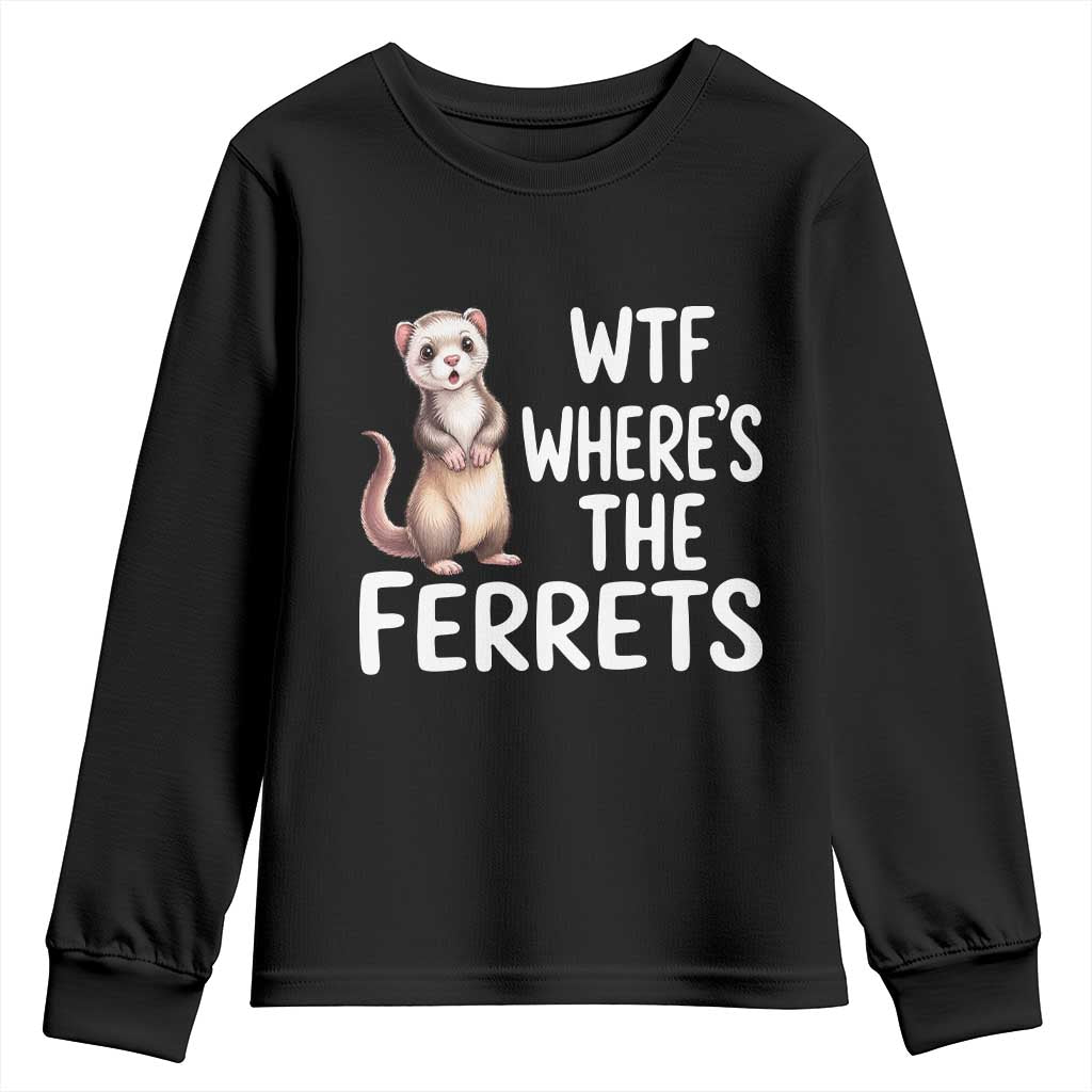 Funny Ferret Lover Gift Youth Sweatshirt Where Is The Ferret