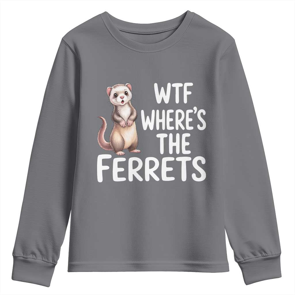 Funny Ferret Lover Gift Youth Sweatshirt Where Is The Ferret