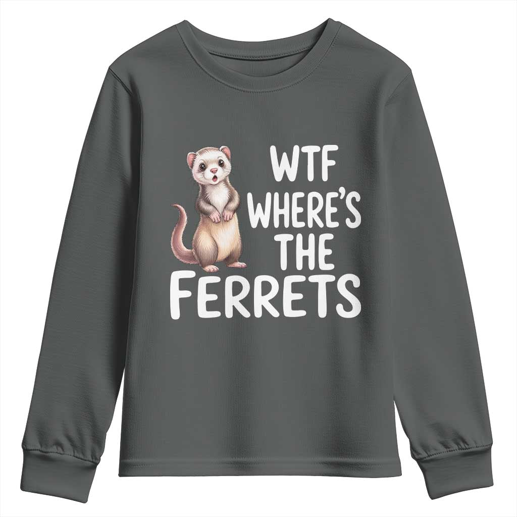 Funny Ferret Lover Gift Youth Sweatshirt Where Is The Ferret