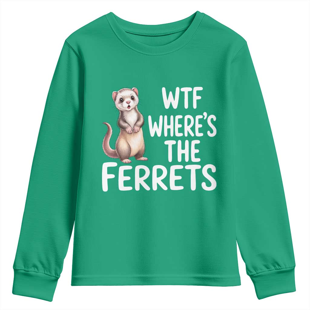 Funny Ferret Lover Gift Youth Sweatshirt Where Is The Ferret