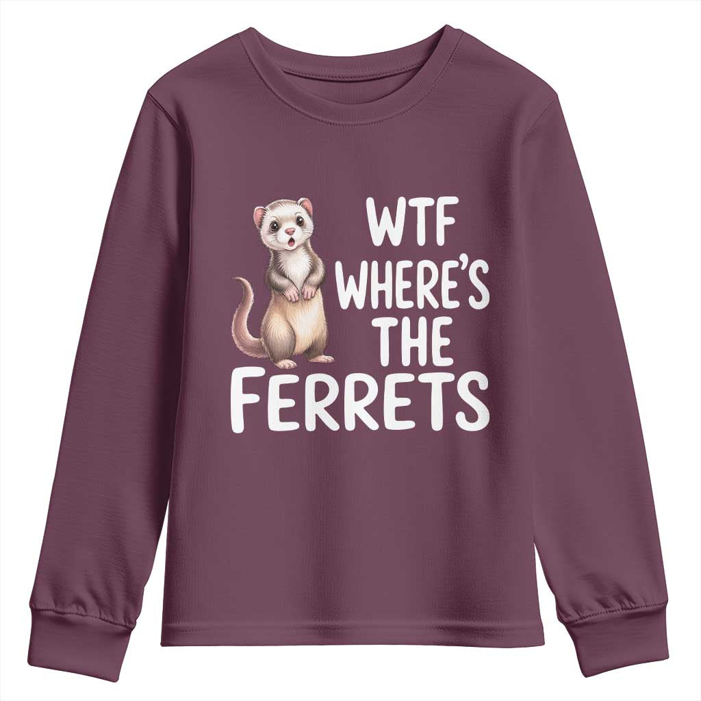 Funny Ferret Lover Gift Youth Sweatshirt Where Is The Ferret