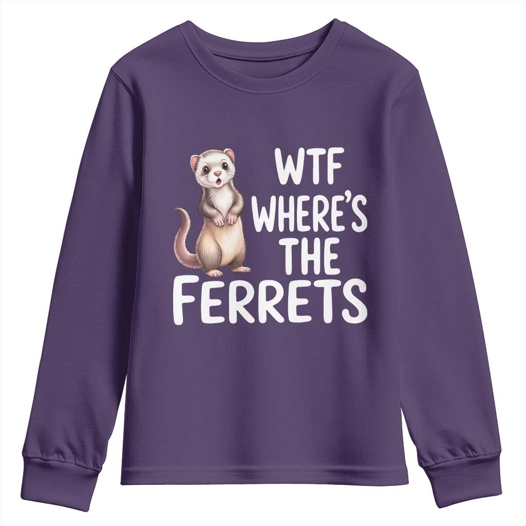 Funny Ferret Lover Gift Youth Sweatshirt Where Is The Ferret