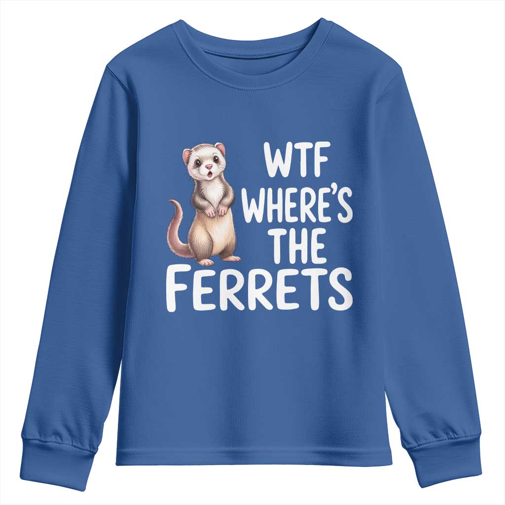 Funny Ferret Lover Gift Youth Sweatshirt Where Is The Ferret