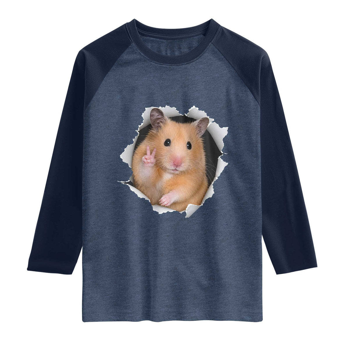 Funny Curious Hamster Peeking Through A Cracked Wall Meme Raglan Shirt