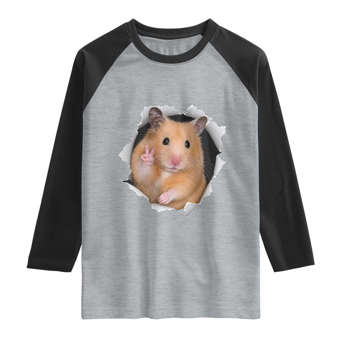 Funny Curious Hamster Peeking Through A Cracked Wall Meme Raglan Shirt