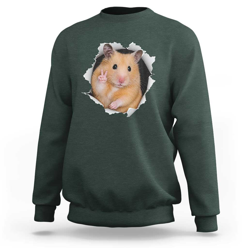 Funny Curious Hamster Peeking Through A Cracked Wall Meme Sweatshirt