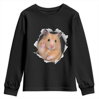 Funny Curious Hamster Peeking Through A Cracked Wall Meme Youth Sweatshirt