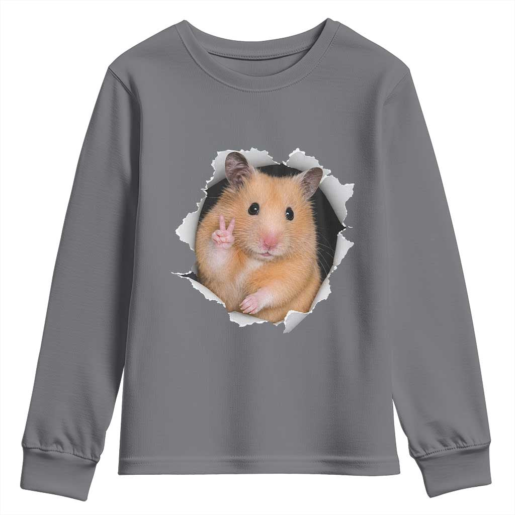 Funny Curious Hamster Peeking Through A Cracked Wall Meme Youth Sweatshirt