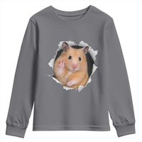 Funny Curious Hamster Peeking Through A Cracked Wall Meme Youth Sweatshirt