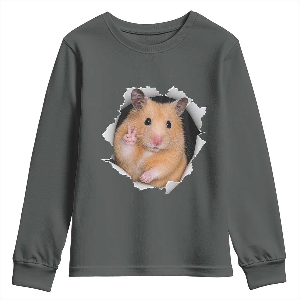 Funny Curious Hamster Peeking Through A Cracked Wall Meme Youth Sweatshirt