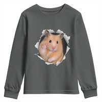 Funny Curious Hamster Peeking Through A Cracked Wall Meme Youth Sweatshirt