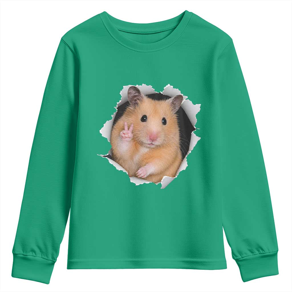 Funny Curious Hamster Peeking Through A Cracked Wall Meme Youth Sweatshirt