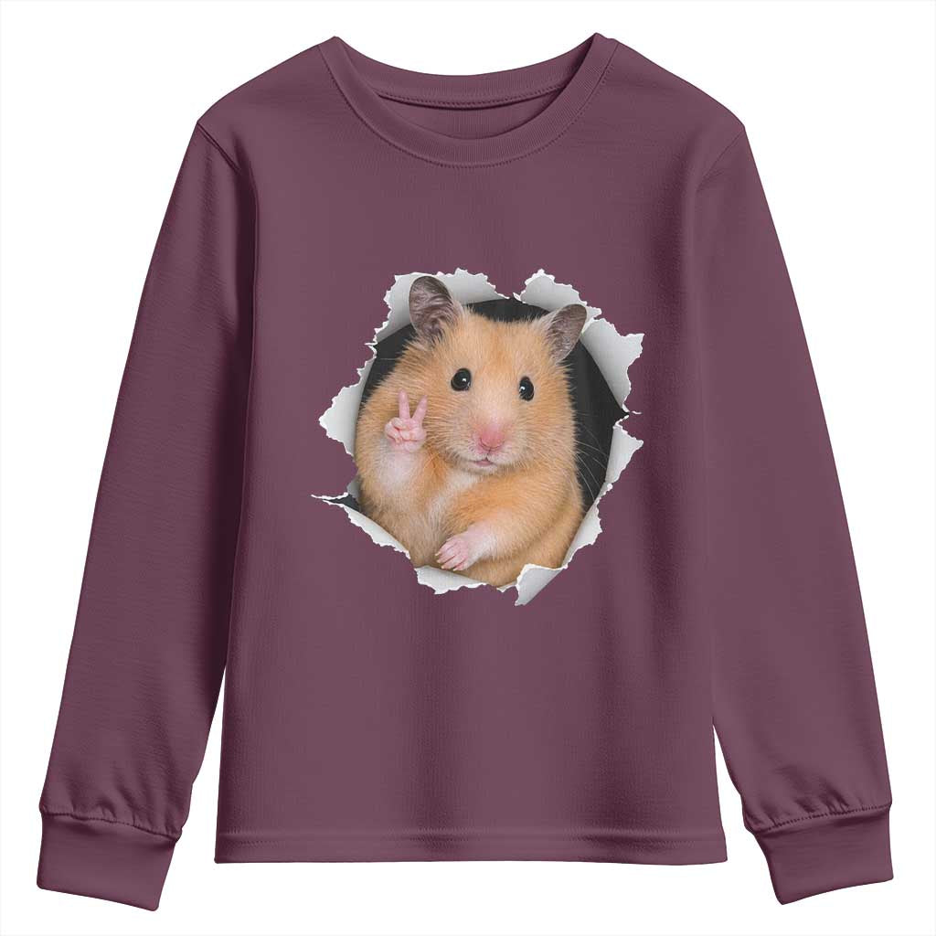 Funny Curious Hamster Peeking Through A Cracked Wall Meme Youth Sweatshirt
