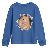 Funny Curious Hamster Peeking Through A Cracked Wall Meme Youth Sweatshirt