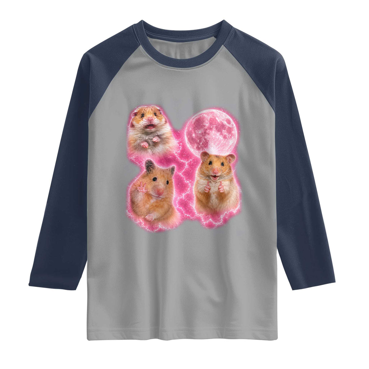 Three Hamsters Retro Graphic Raglan Shirt Small Pet Lover Gift Idea