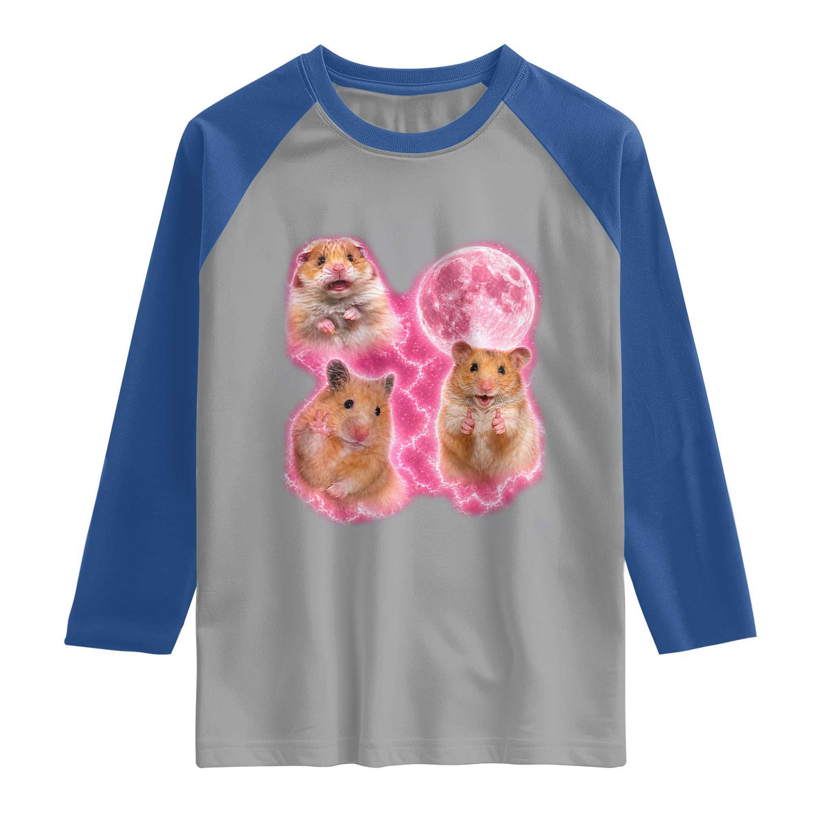 Three Hamsters Retro Graphic Raglan Shirt Small Pet Lover Gift Idea