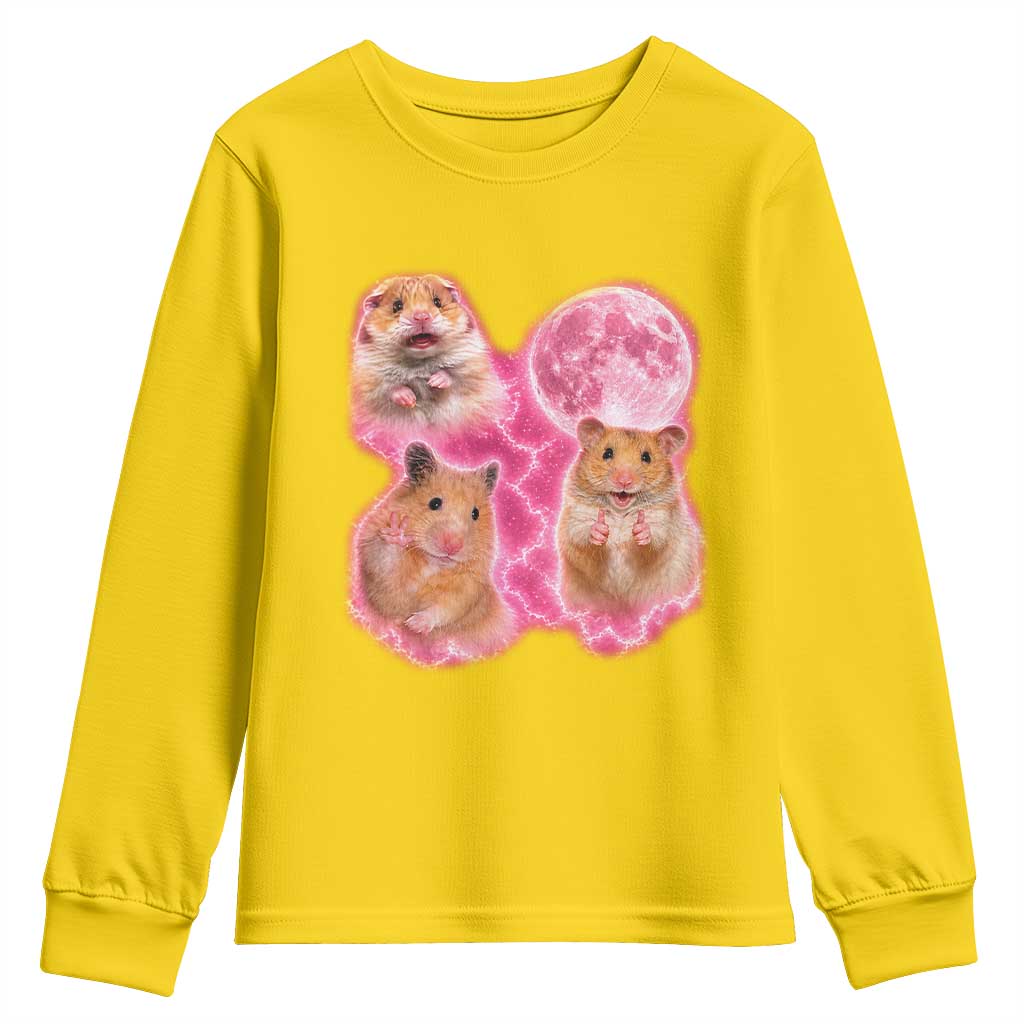 Three Hamsters Retro Graphic Youth Sweatshirt Small Pet Lover Gift Idea