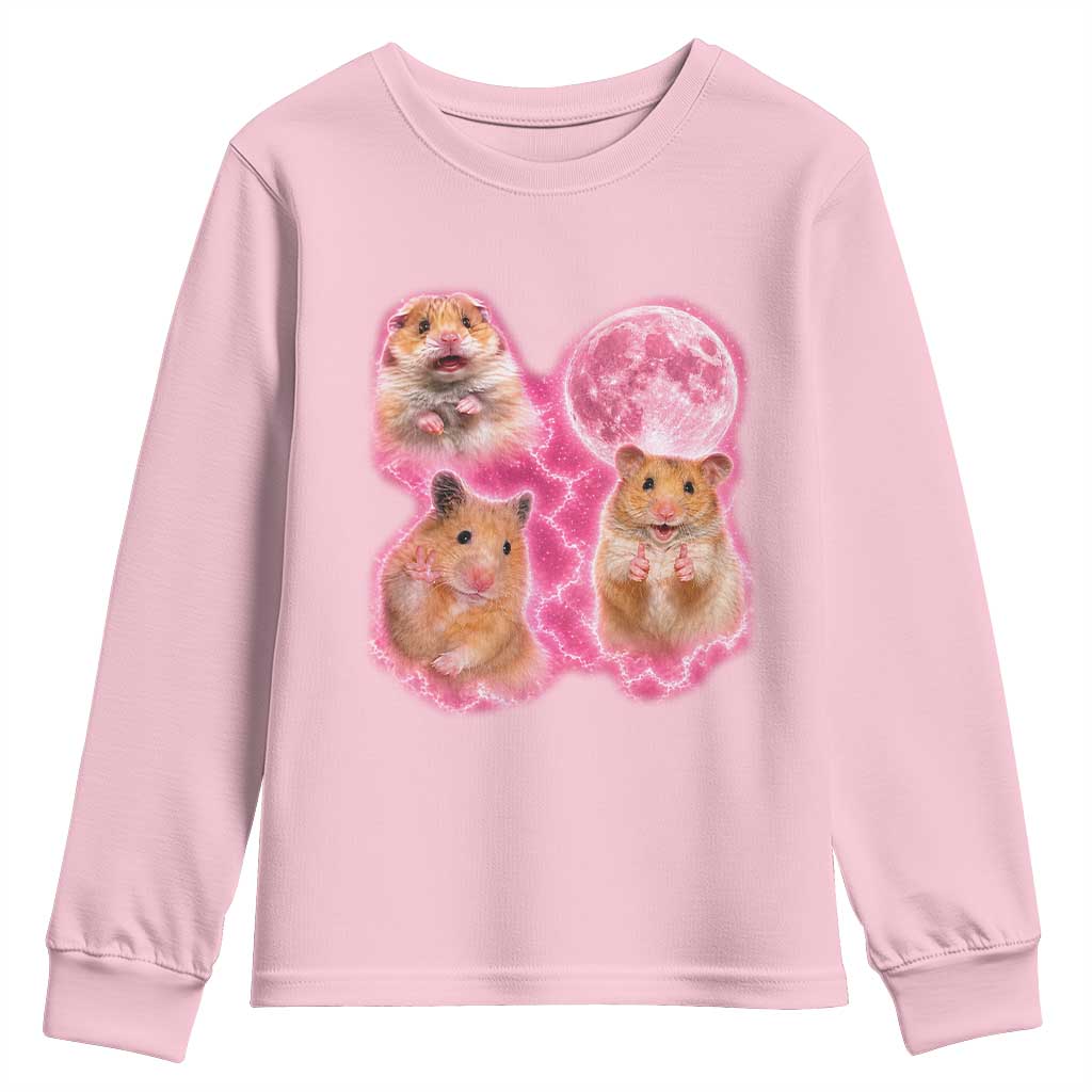 Three Hamsters Retro Graphic Youth Sweatshirt Small Pet Lover Gift Idea