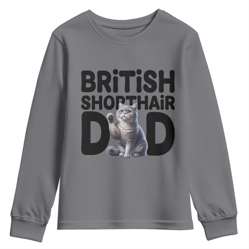 Proud British Shorthair Dad Youth Sweatshirt Cute Cat Fathers Day Gift