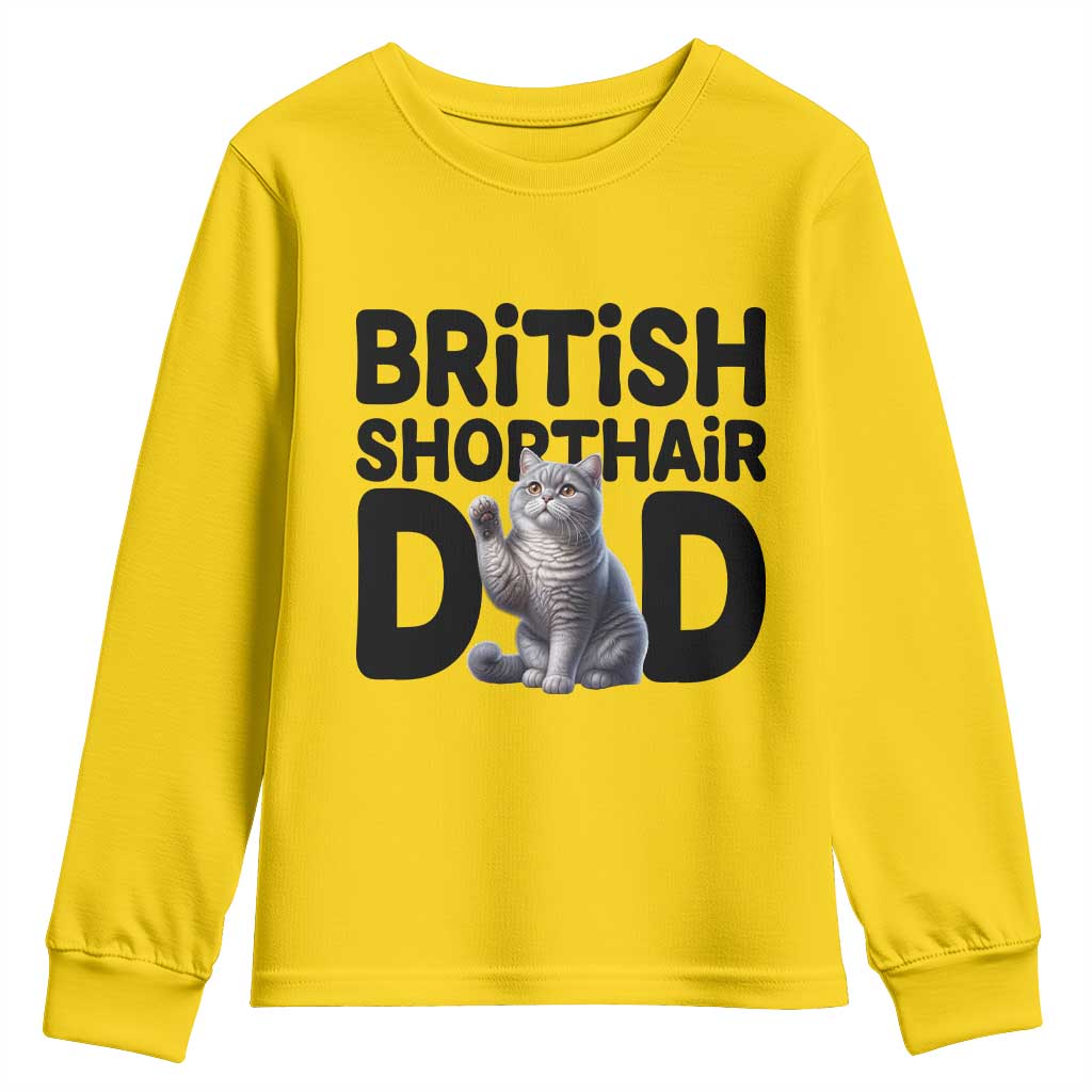 Proud British Shorthair Dad Youth Sweatshirt Cute Cat Fathers Day Gift