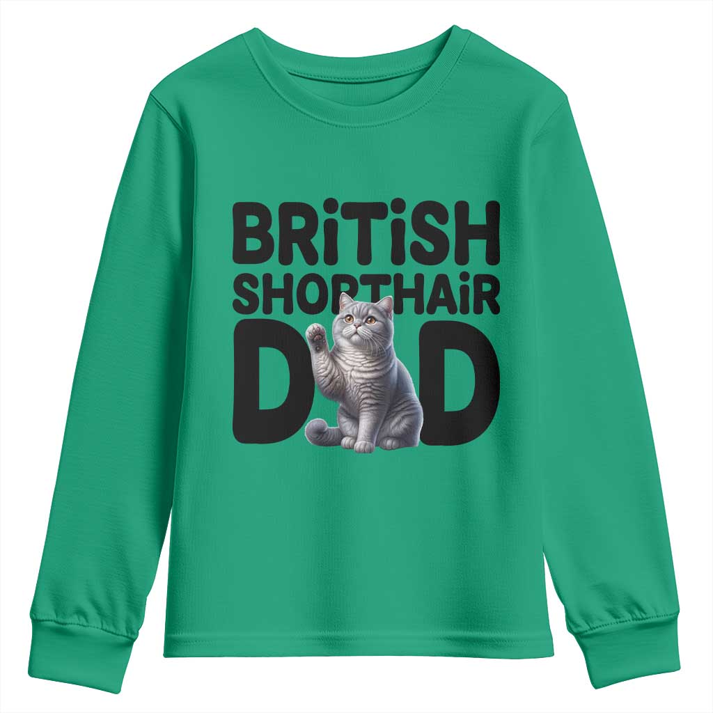 Proud British Shorthair Dad Youth Sweatshirt Cute Cat Fathers Day Gift