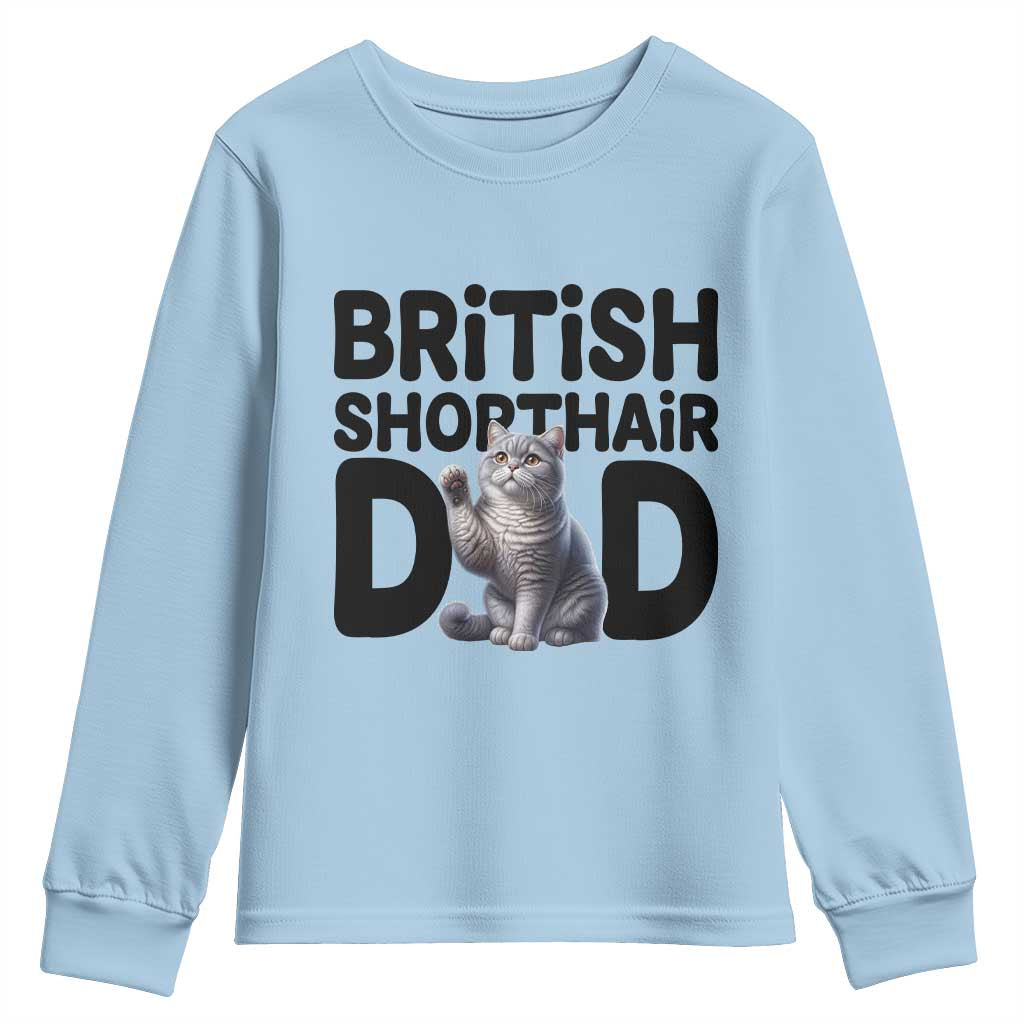 Proud British Shorthair Dad Youth Sweatshirt Cute Cat Fathers Day Gift