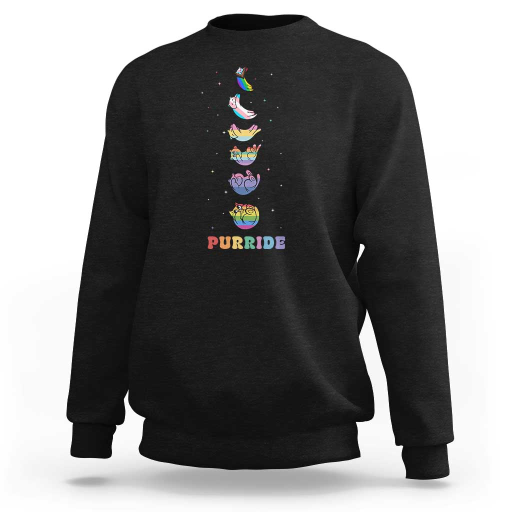 Purride Rainbow Cat Moon Cycles Sweatshirt LGBQT Pride Feline Space