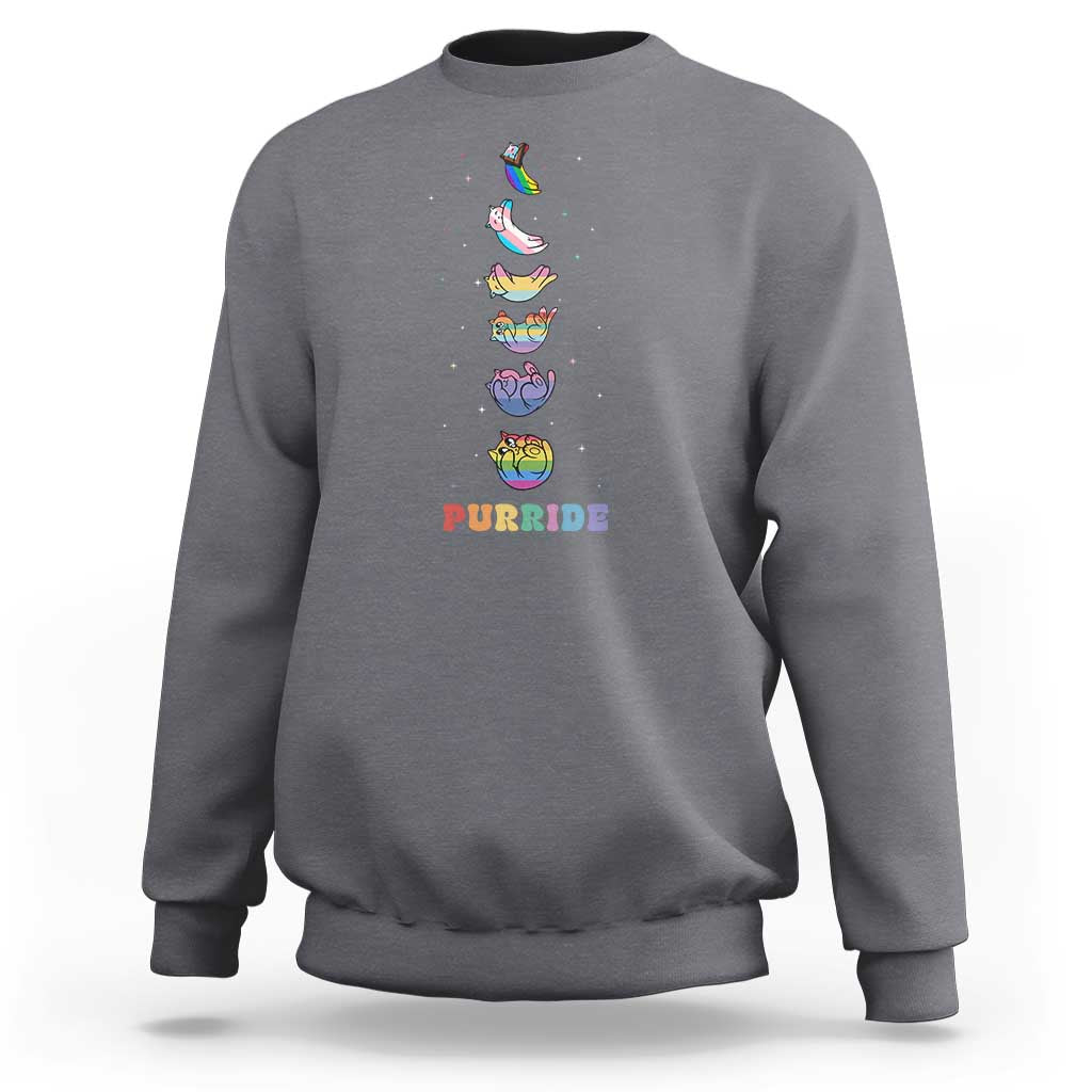 Purride Rainbow Cat Moon Cycles Sweatshirt LGBQT Pride Feline Space