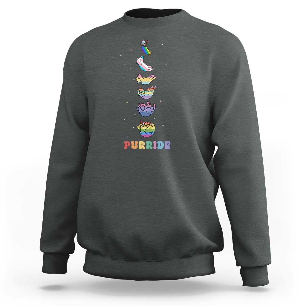 Purride Rainbow Cat Moon Cycles Sweatshirt LGBQT Pride Feline Space