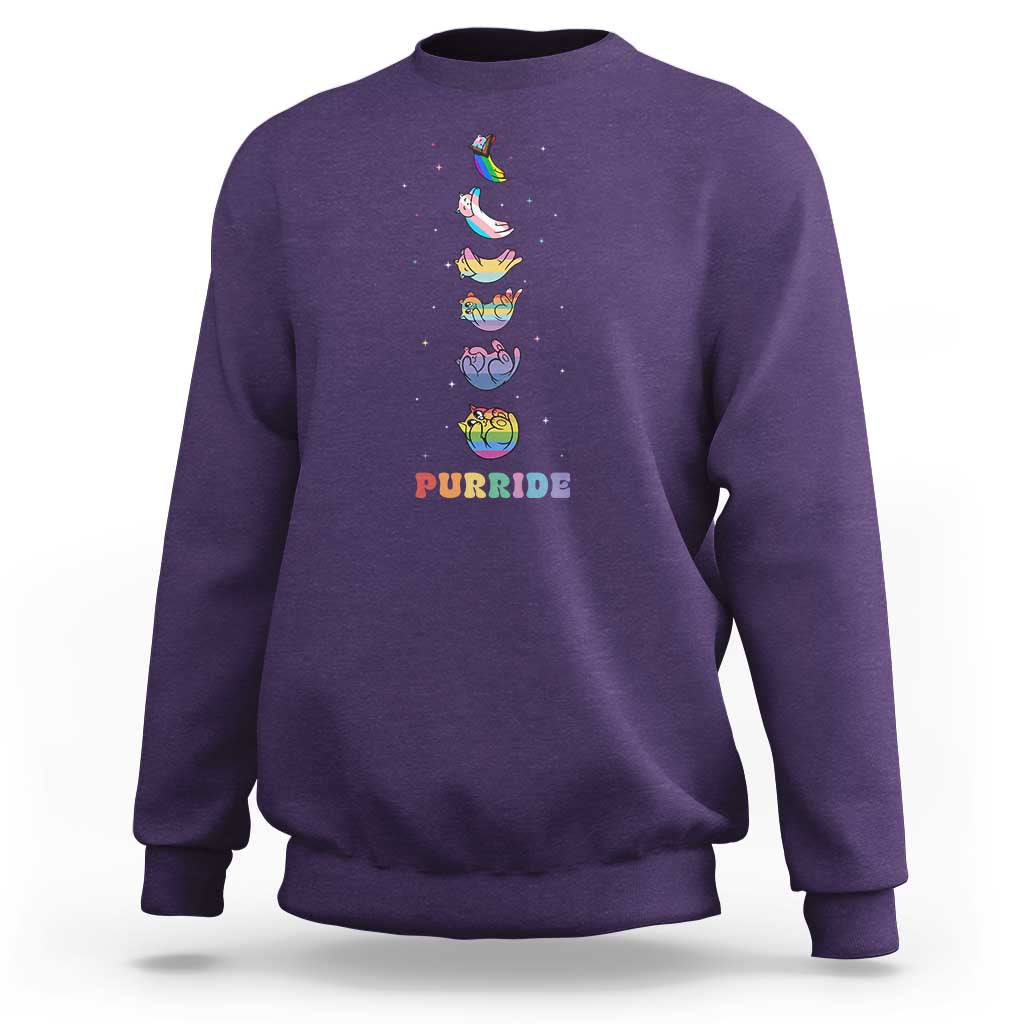 Purride Rainbow Cat Moon Cycles Sweatshirt LGBQT Pride Feline Space