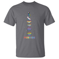 Purride Rainbow Cat Moon Cycles T Shirt LGBQT Pride Feline Space