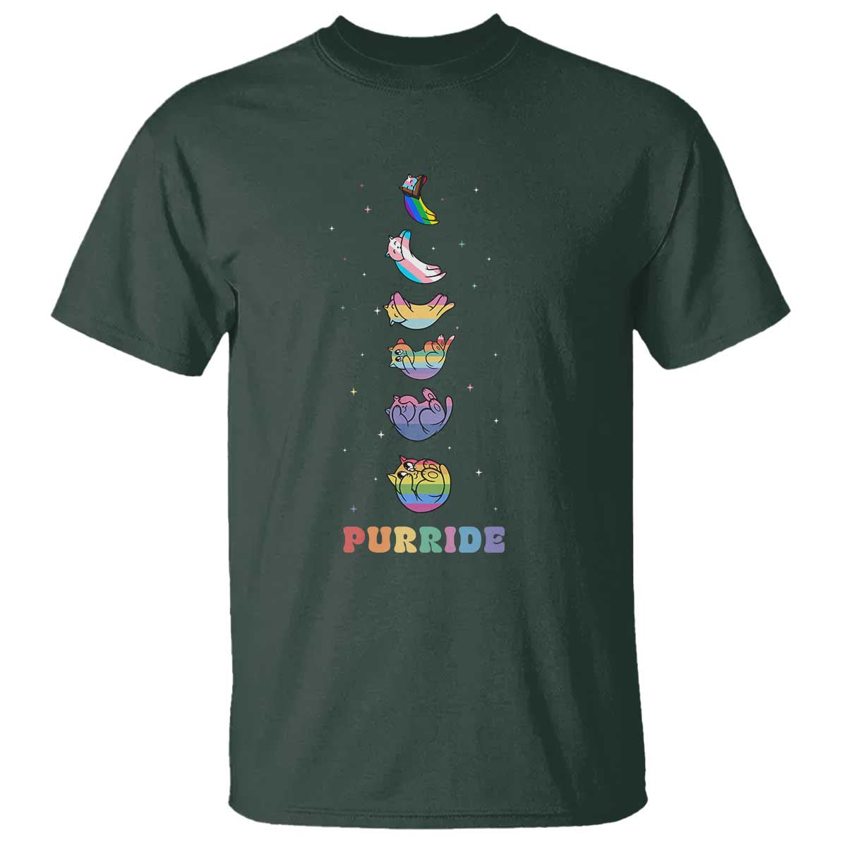 Purride Rainbow Cat Moon Cycles T Shirt LGBQT Pride Feline Space