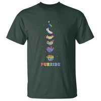 Purride Rainbow Cat Moon Cycles T Shirt LGBQT Pride Feline Space