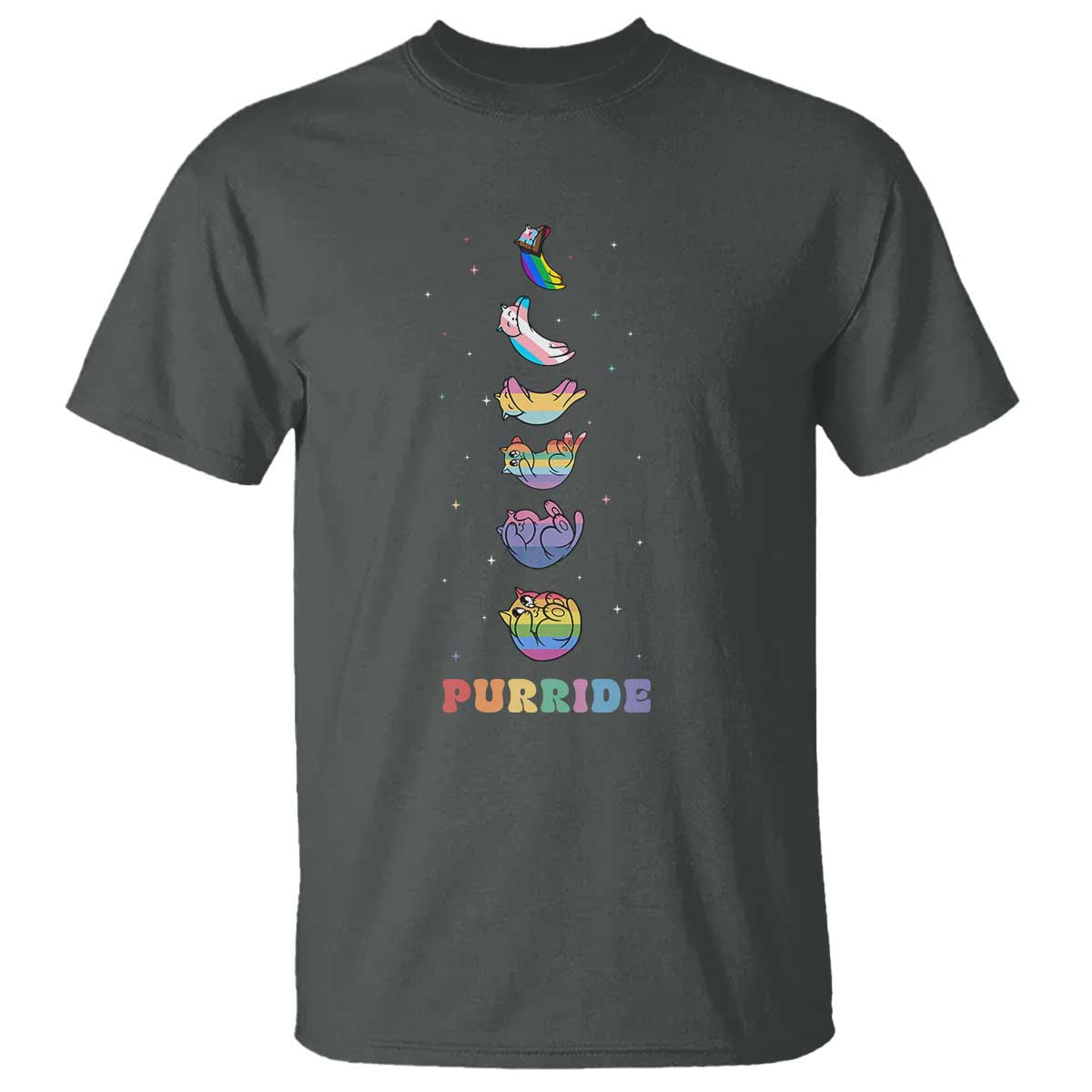 Purride Rainbow Cat Moon Cycles T Shirt LGBQT Pride Feline Space