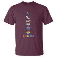 Purride Rainbow Cat Moon Cycles T Shirt LGBQT Pride Feline Space