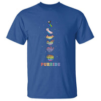 Purride Rainbow Cat Moon Cycles T Shirt LGBQT Pride Feline Space