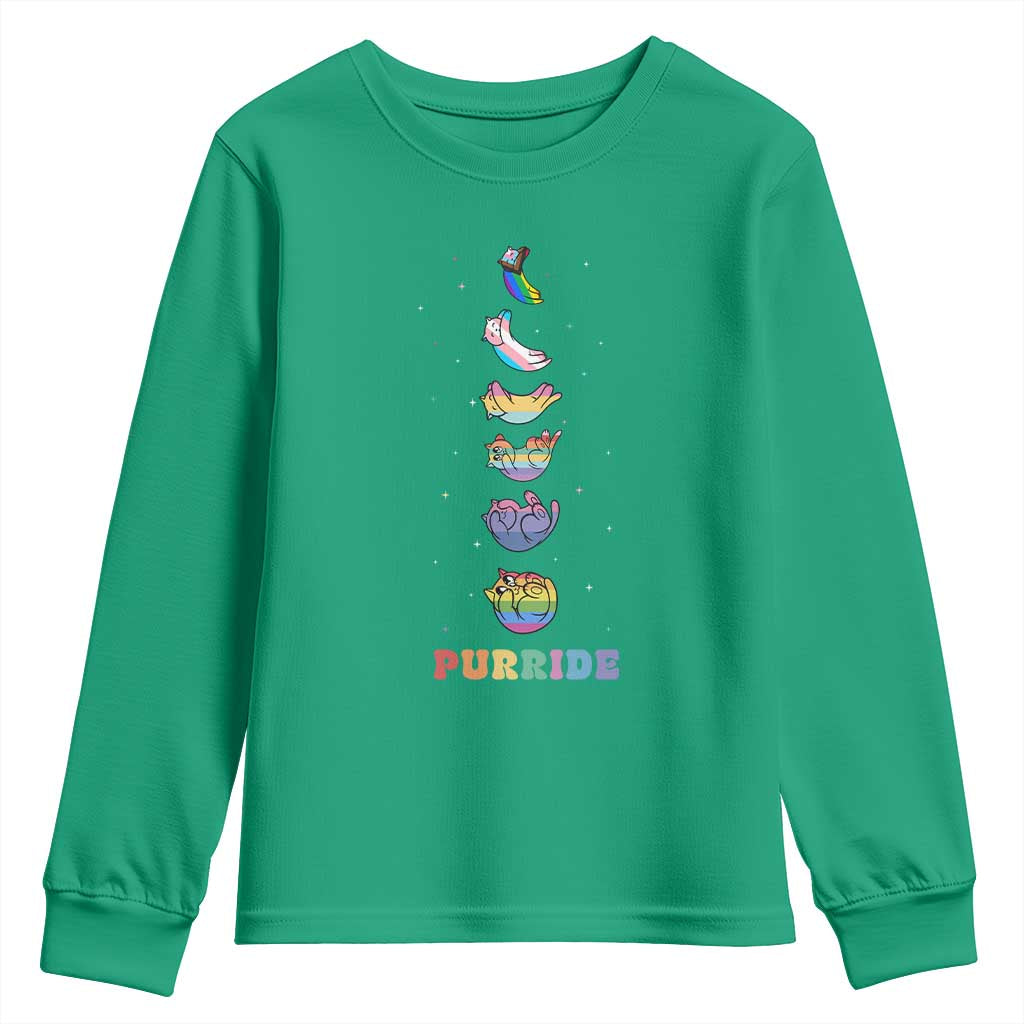 Purride Rainbow Cat Moon Cycles Youth Sweatshirt LGBQT Pride Feline Space