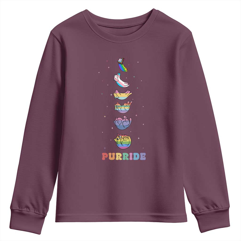 Purride Rainbow Cat Moon Cycles Youth Sweatshirt LGBQT Pride Feline Space