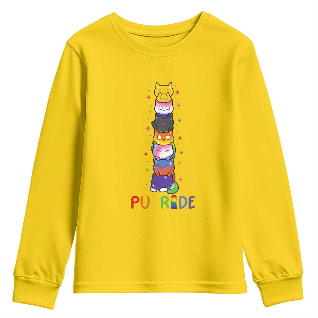 Funny Purride Stacked Cats Pride Youth Sweatshirt Cute LGBTQ Cat Lover