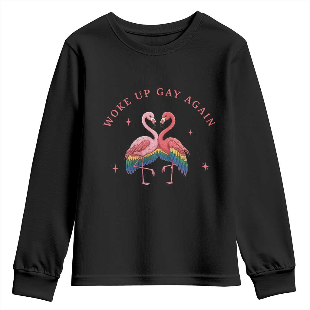 Funny Flamingos Woke Up Gay Again Youth Sweatshirt Gift For Queer Bird Lovers