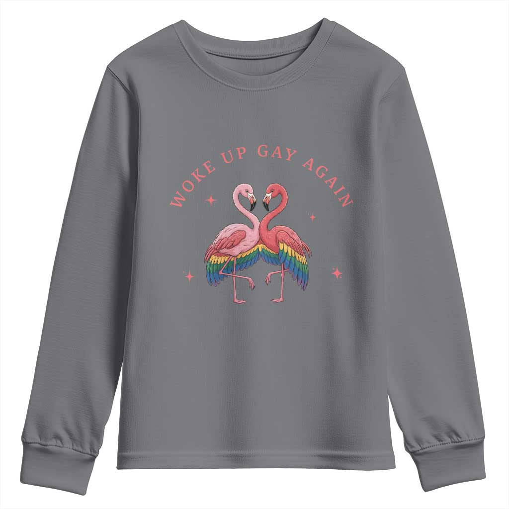 Funny Flamingos Woke Up Gay Again Youth Sweatshirt Gift For Queer Bird Lovers