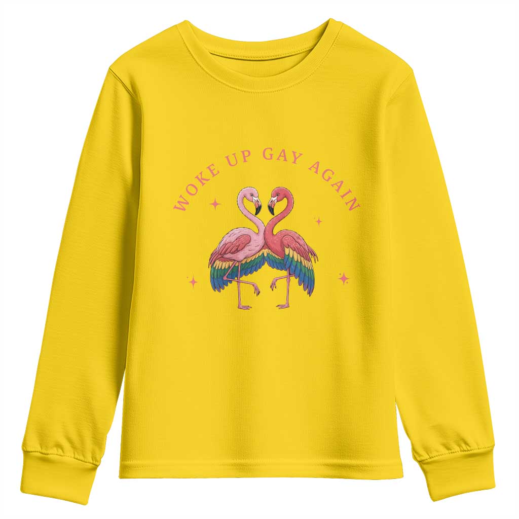 Funny Flamingos Woke Up Gay Again Youth Sweatshirt Gift For Queer Bird Lovers