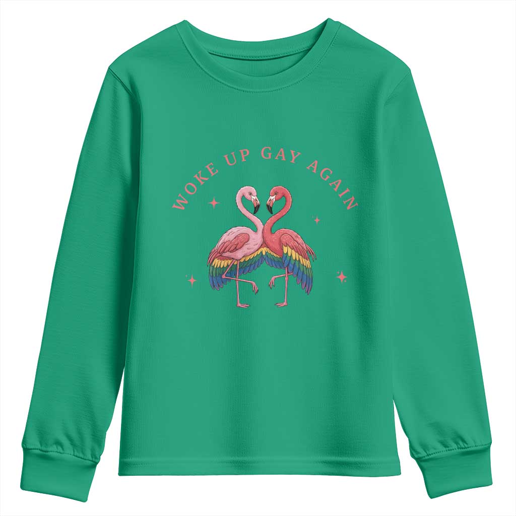 Funny Flamingos Woke Up Gay Again Youth Sweatshirt Gift For Queer Bird Lovers