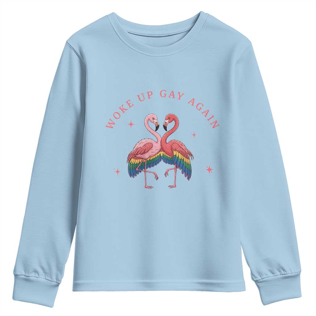 Funny Flamingos Woke Up Gay Again Youth Sweatshirt Gift For Queer Bird Lovers