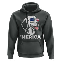 Funny Merica Beagle Lover 4th Of July Hoodie Patriotic Dog Gift